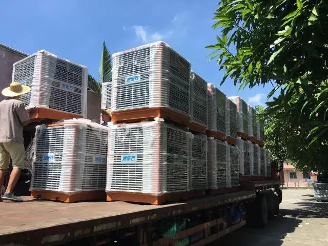 工廠車間快速降溫方法，你知道嗎？
